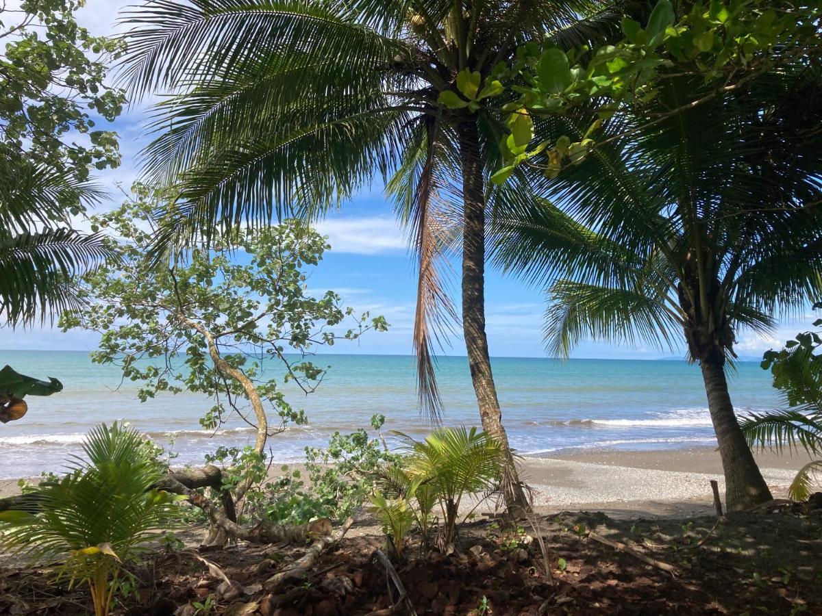 Popochos Beach Eco-Lodge Nuqui Luaran gambar