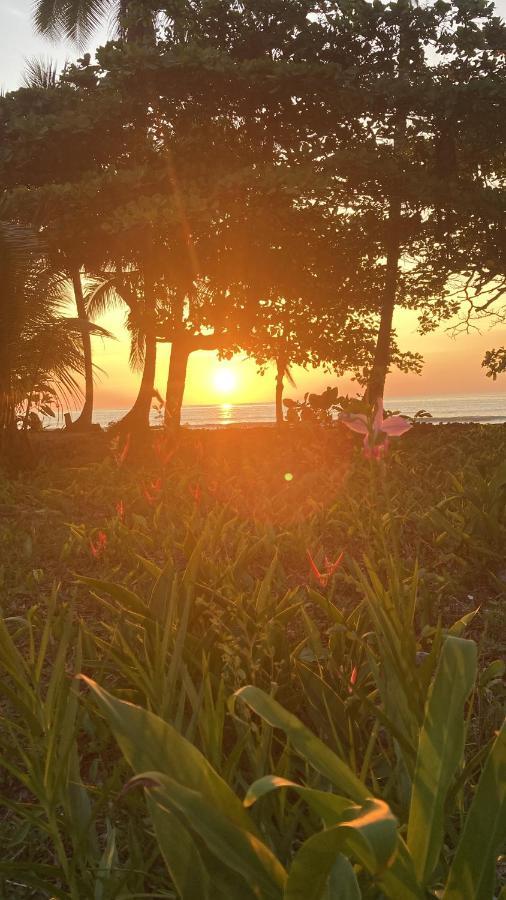 Popochos Beach Eco-Lodge Nuqui Luaran gambar