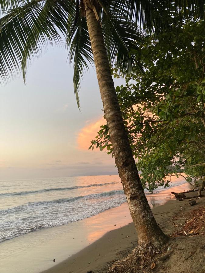 Popochos Beach Eco-Lodge Nuqui Luaran gambar