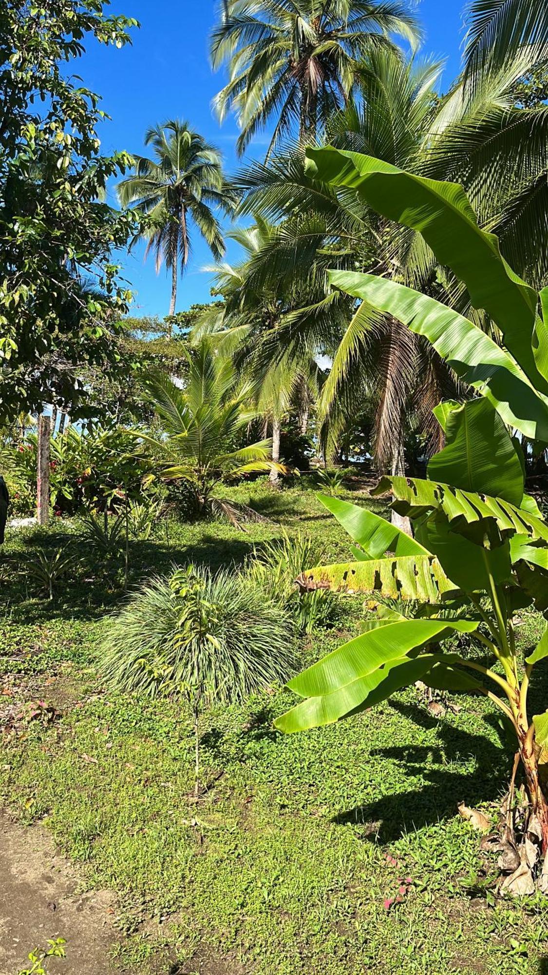 Popochos Beach Eco-Lodge Nuqui Luaran gambar