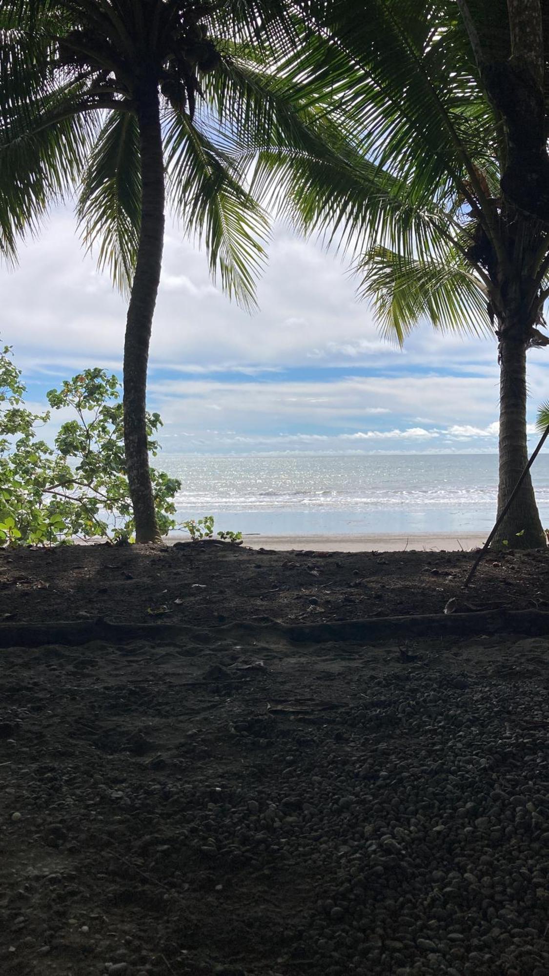 Popochos Beach Eco-Lodge Nuqui Luaran gambar