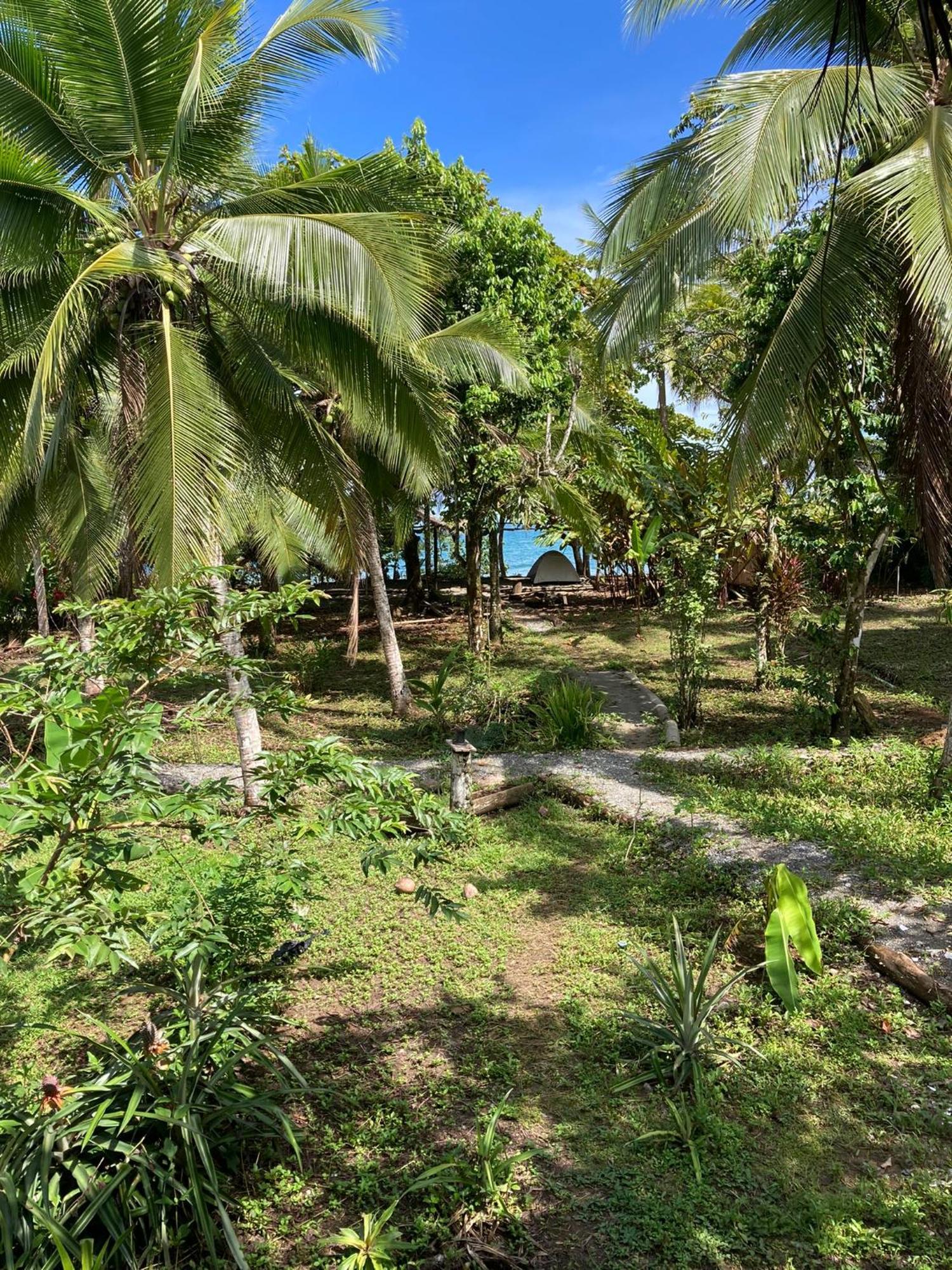 Popochos Beach Eco-Lodge Nuqui Luaran gambar