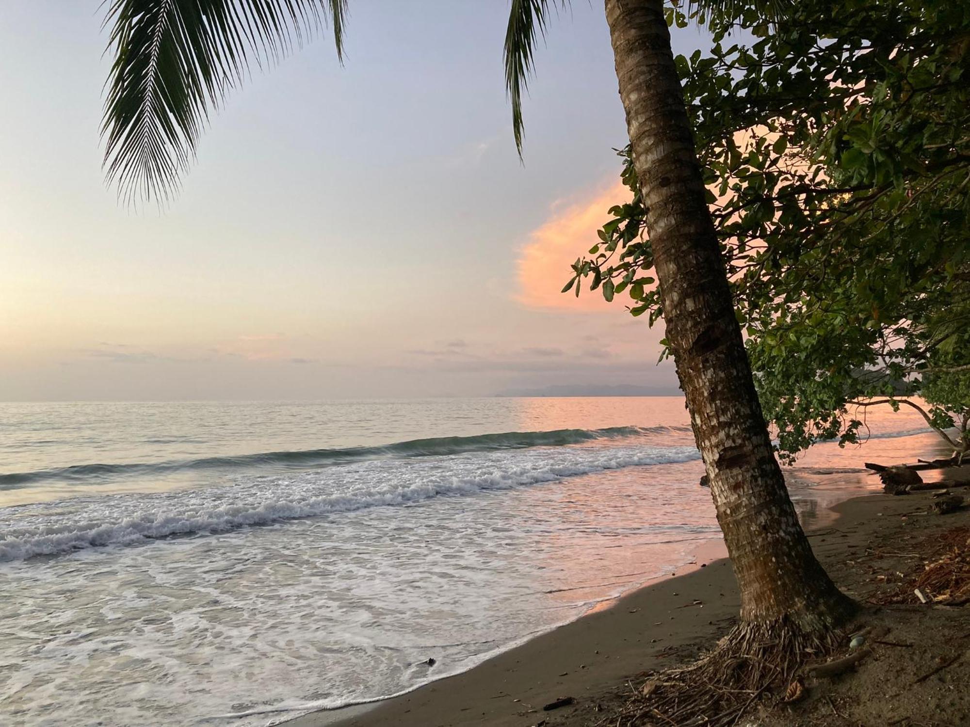 Popochos Beach Eco-Lodge Nuqui Luaran gambar