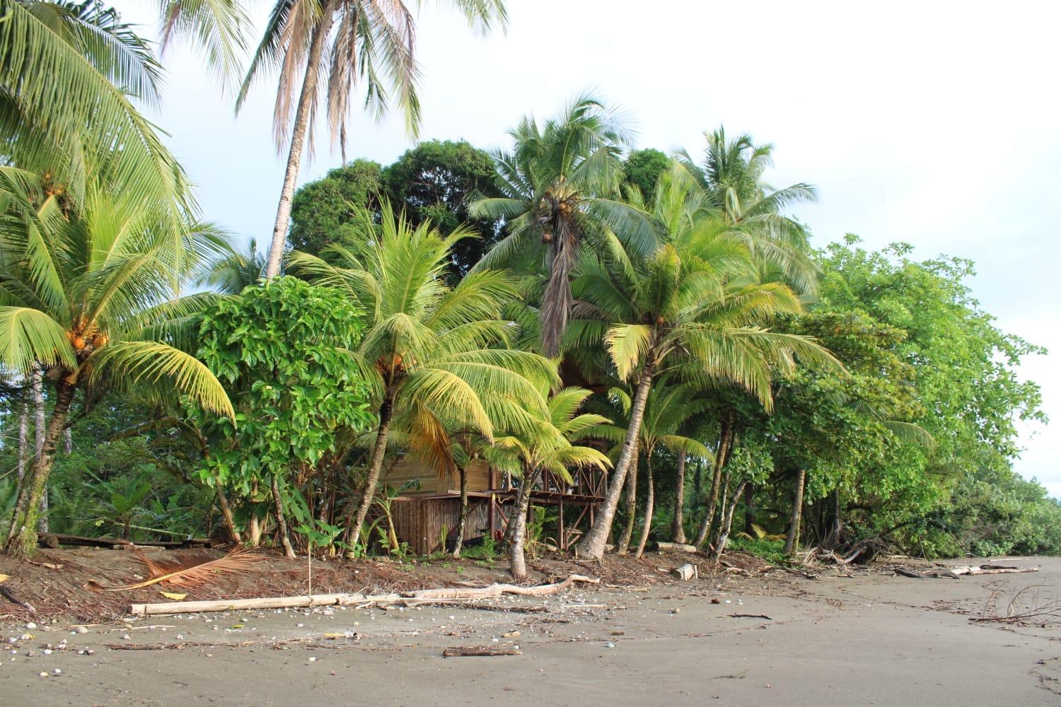 Popochos Beach Eco-Lodge Nuqui Luaran gambar